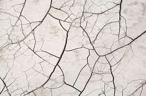 cracks and connections