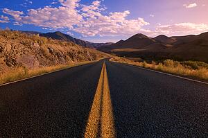 Road thru wilderness