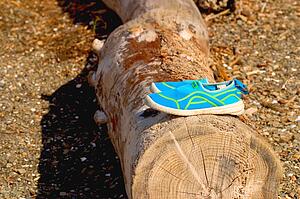 Water shoes on log