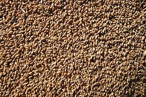 Coffee beans