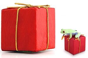 Large and small red packages with frog
