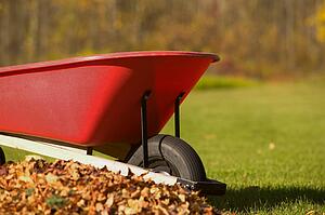 Wheel Barrel beside pile of leaves