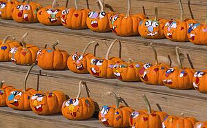 Pumpkin Faces