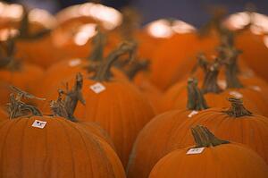 Pumpkins