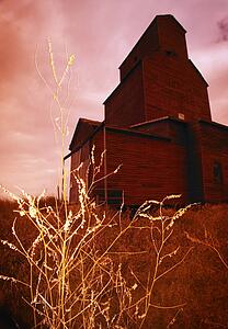 Grain elevator