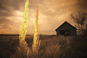 Farm building in field