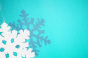 Snowflake and shadow