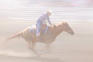 Galloping horse and rider