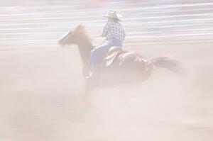 Galloping horse and rider