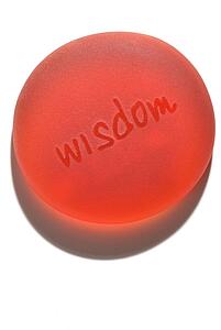 wisdom