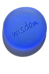 Wisdom