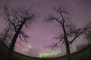 Northern lights