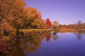 Body of water in Autumn