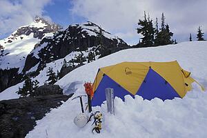 Hi-visibility tent