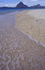 Sandy shoreline