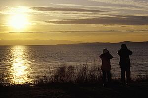 Couple looking over water