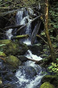 Scenic waterfall