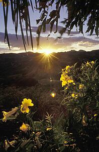 Sunrise