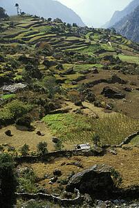 Mountainous agricultural landscape