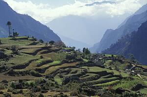 Agricultural mountainous landscape