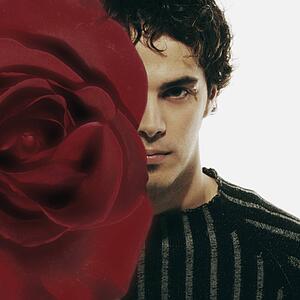 Male model hidden by red rose