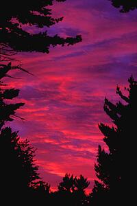 Colourful sunset