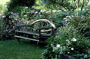 Bench in garden