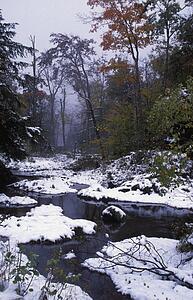 Winter wonderland