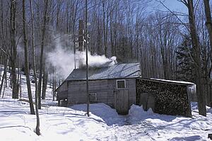 Remote log cabin in winter