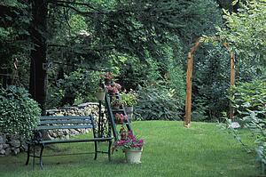 Beautiful garden scene
