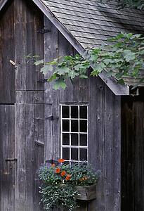 Wooden building and window box