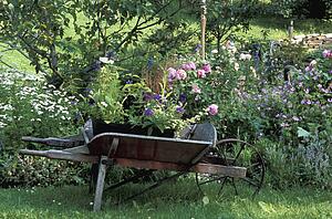 Pretty cottage garden