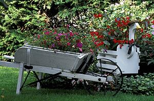 Pretty garden and planters