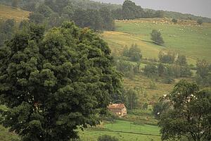 Green rolling hills