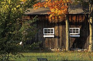 Wooden building surrounded by autumn trees