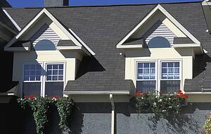 Windows and window boxes