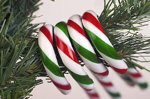 Candy canes hanging from tree