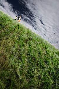 Climbing the hill