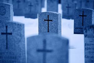 Rows of war graves