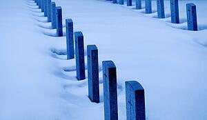 Rows of war graves