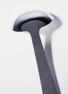 Ladle