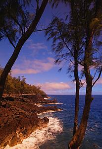 Tropical coastline