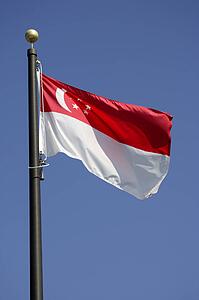 Singapore flag