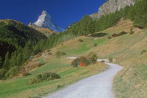Mountain pathway