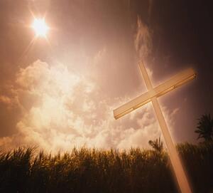 A cross against a field of sugar cane