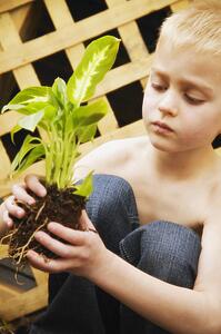 Young boy holding plant