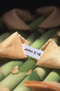 Fortune cookie