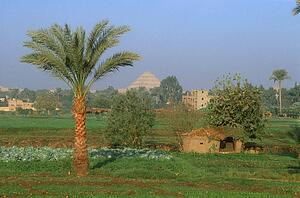 Nile River Valley and Step Pyramid of Djoser