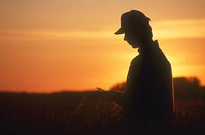Farmer looking at crop
