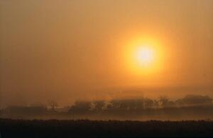 Early morning golden mist